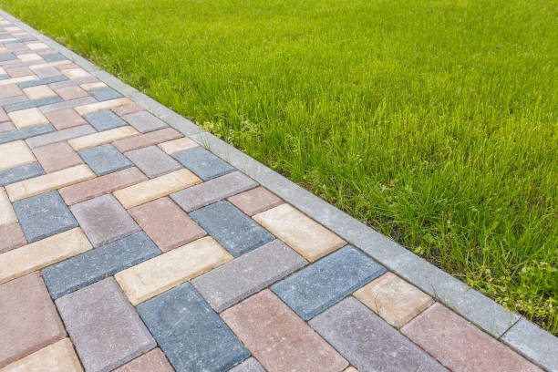Best Local Driveway Pavers  in Mount Vernon, VA